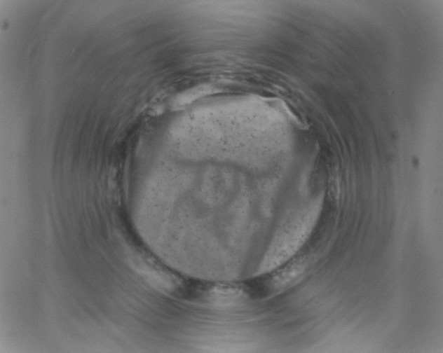 X0000061760270200512231558