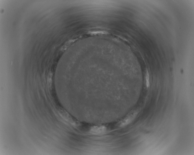 X0000061760271200512231558