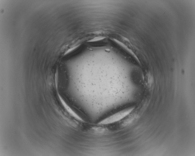 X0000061760272200512231558