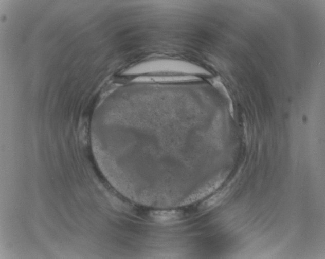 X0000061760273200512231558