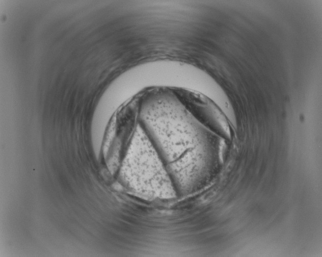 X0000061760276200512231558