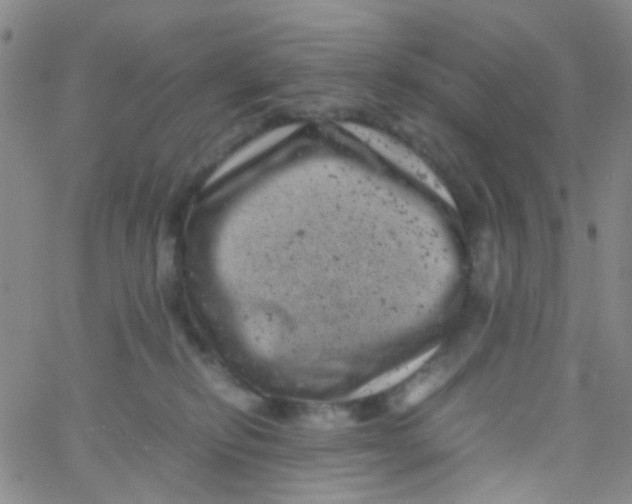 X0000061760278200512231559