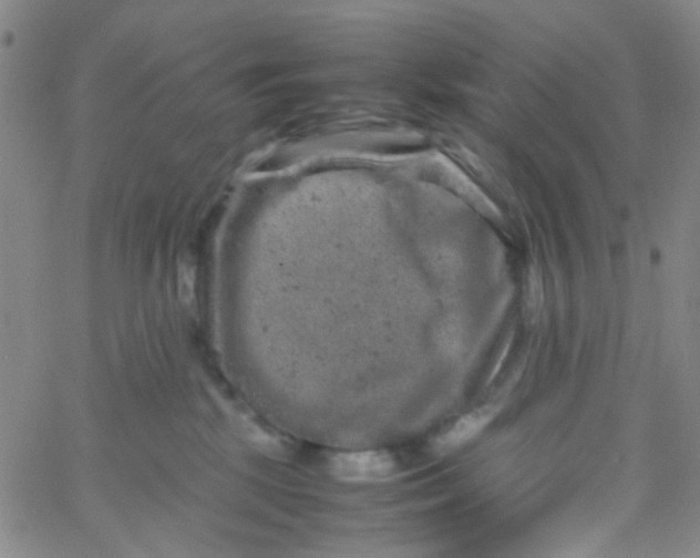 X0000061760281200512231559