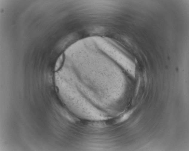 X0000061760282200512231559