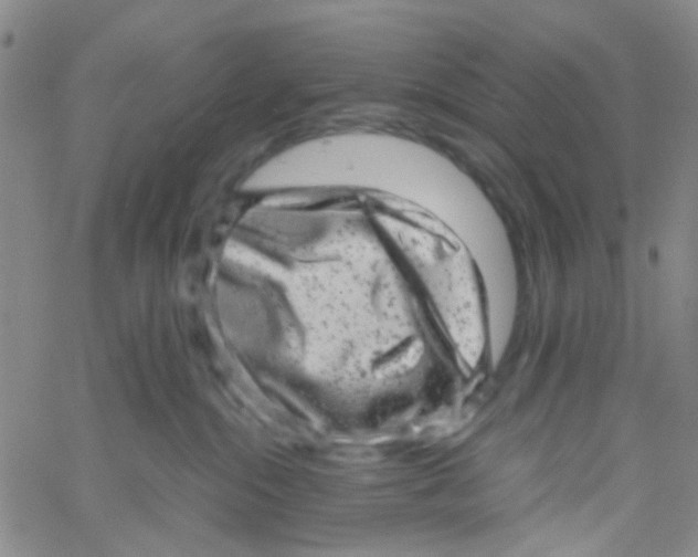 X0000061760284200512231559