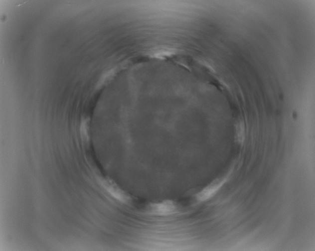 X0000061760286200512231559