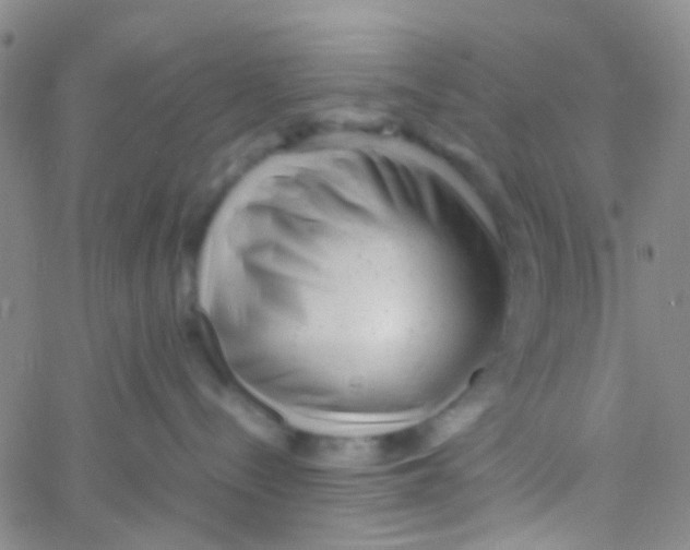 X0000061760288200512231559