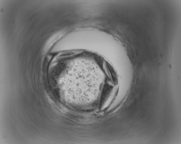 X0000061760293200512231558