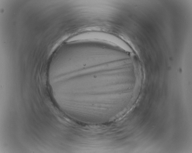 X0000061760297200512231558