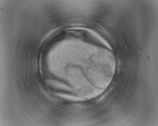 X0000061760298200512231558