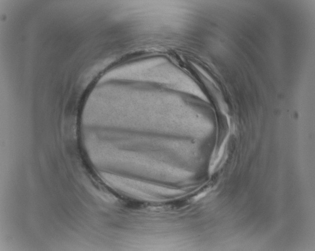 X0000061760299200512231558