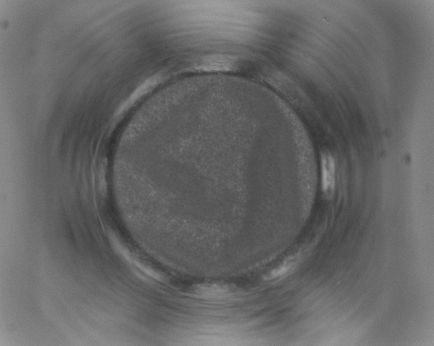 X0000061760300200512231558