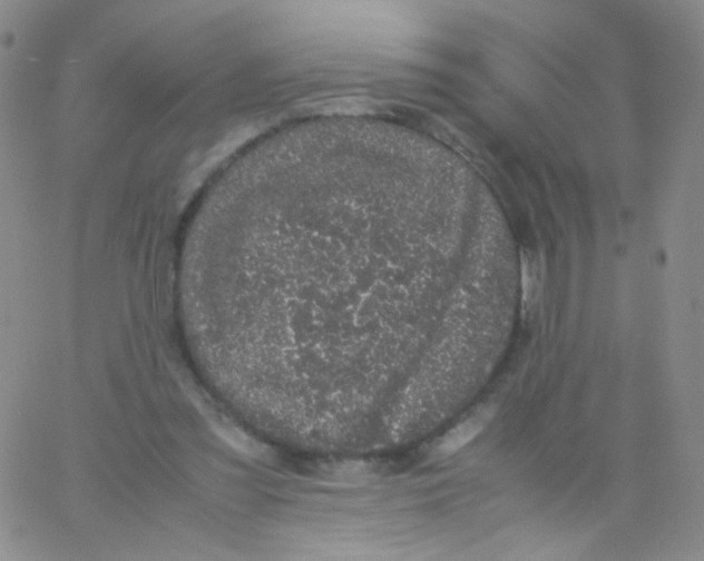 X0000061760301200512231558