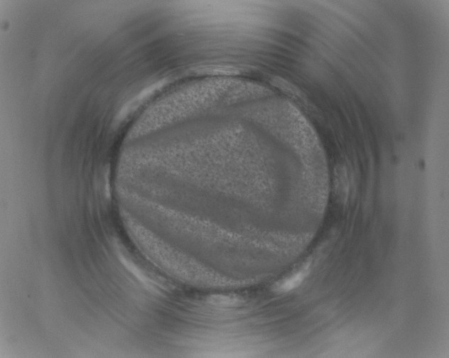 X0000061760302200512231558