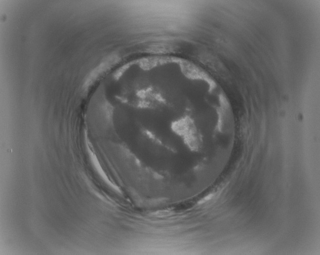 X0000061760303200512231558