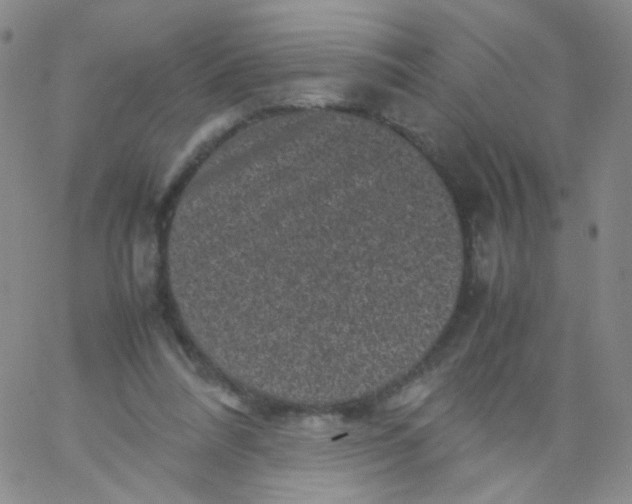 X0000061760304200512231558