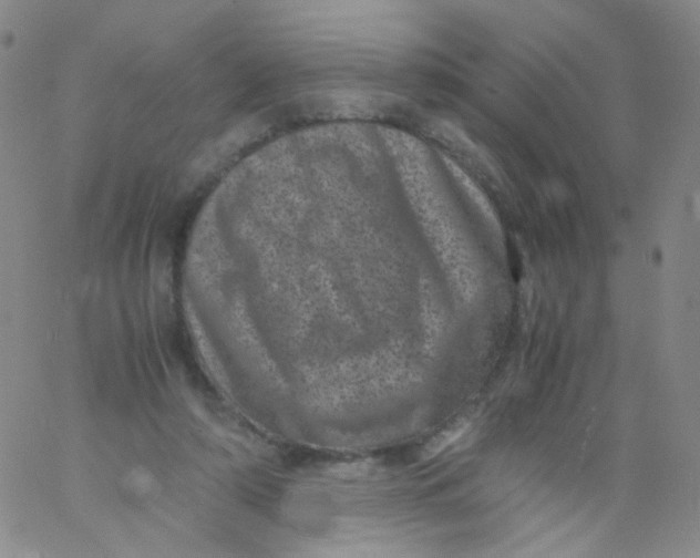 X0000061760306200512231558