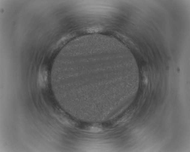 X0000061760308200512231558