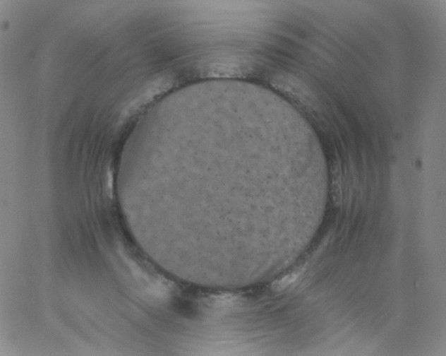 X0000061760310200512231558