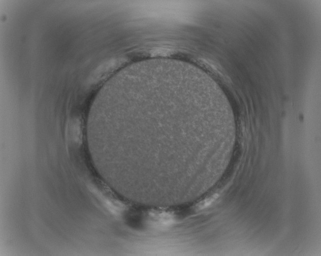 X0000061760311200512231558