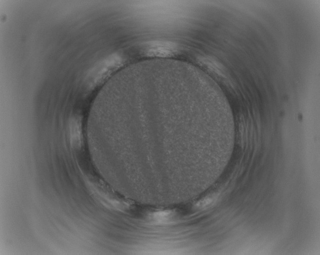 X0000061760312200512231558