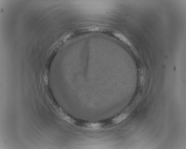 X0000061760313200512231557