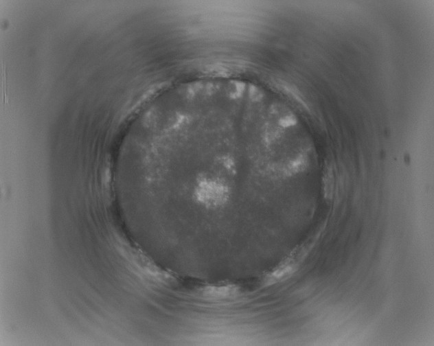 X0000061760314200512231557