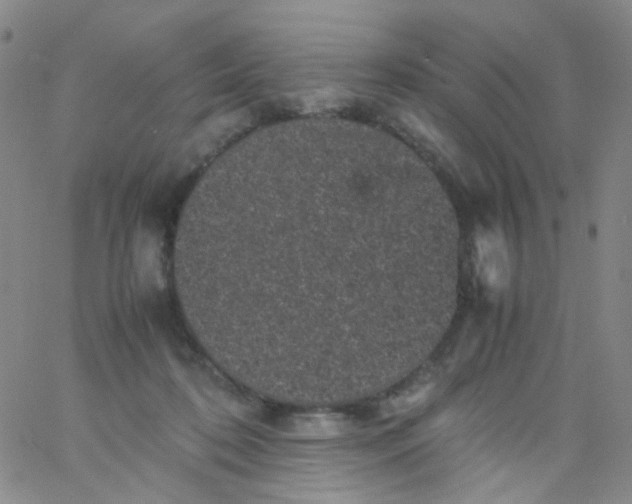 X0000061760316200512231557