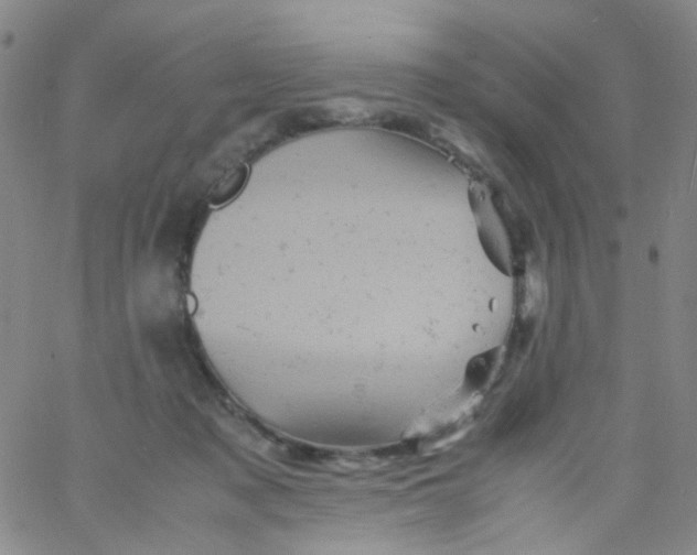 X0000061760317200512231557