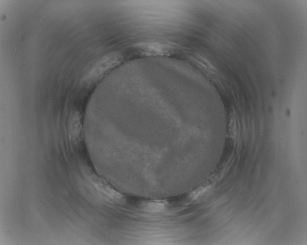 X0000061760318200512231557