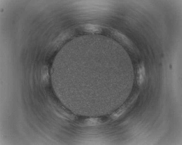 X0000061760320200512231557