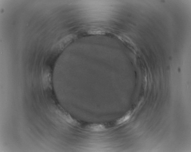 X0000061760322200512231557