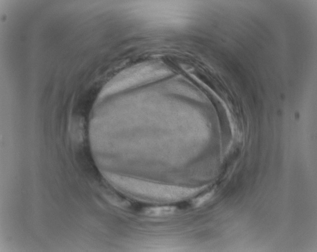 X0000061760323200512231557