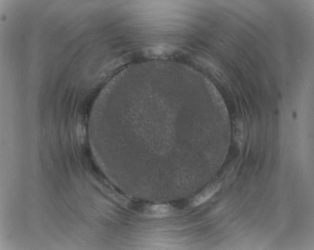 X0000061760324200512231557