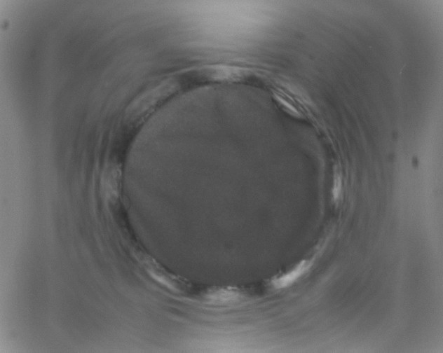 X0000061760325200512231557