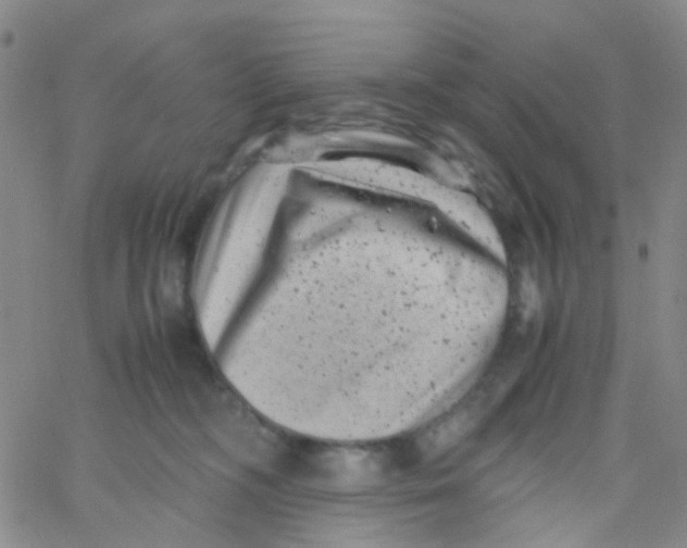 X0000061760326200512231557