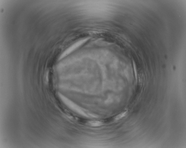 X0000061760327200512231557