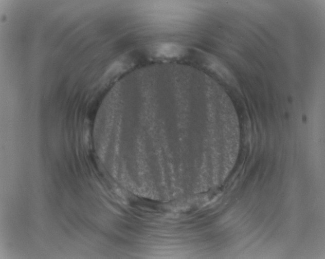 X0000061760328200512231557