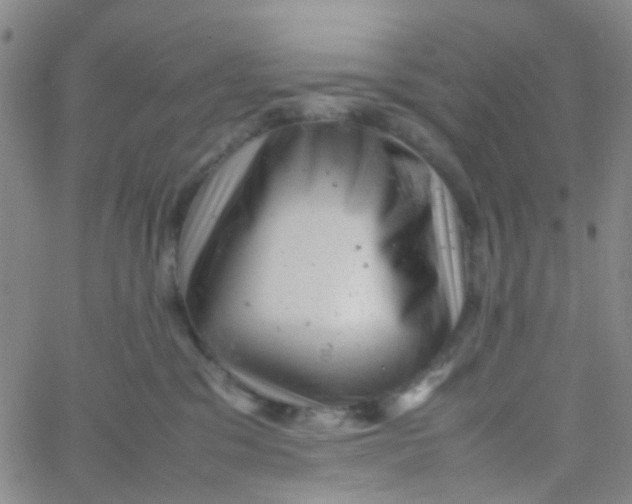 X0000061760329200512231557