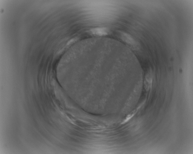 X0000061760330200512231557