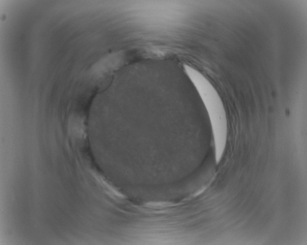 X0000061760331200512231557