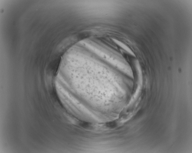 X0000061760333200512231557