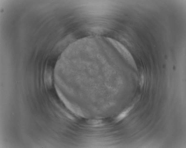 X0000061760334200512231557