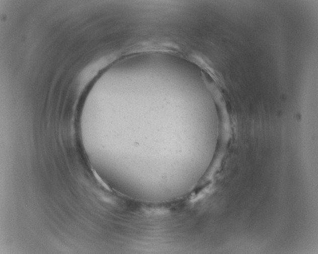 X0000061760340200512231556