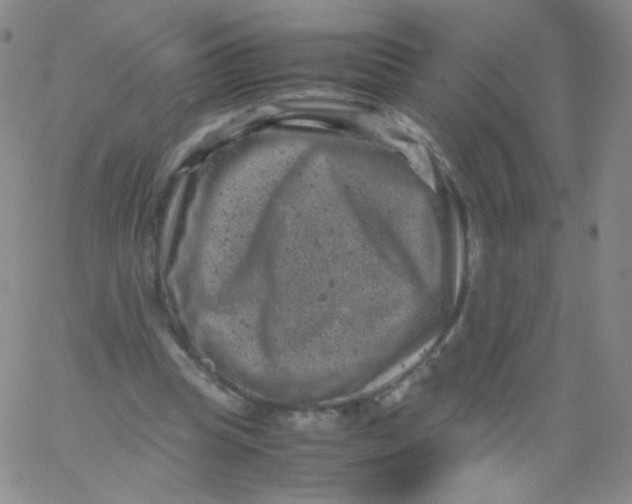 X0000061760345200512231556