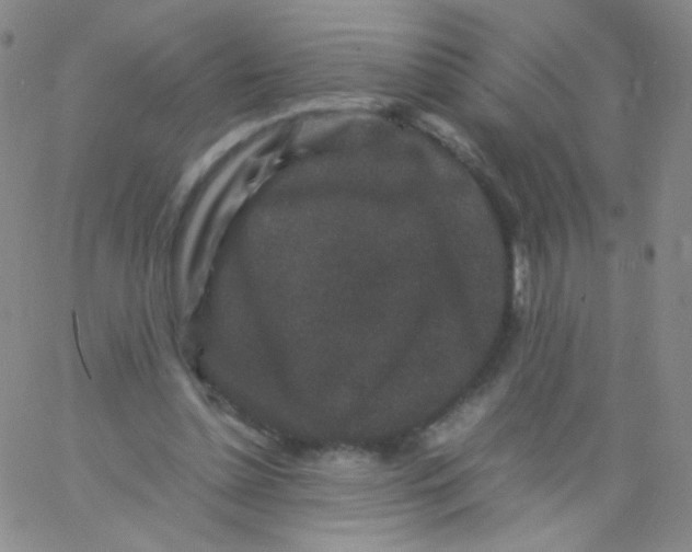 X0000061760348200512231557