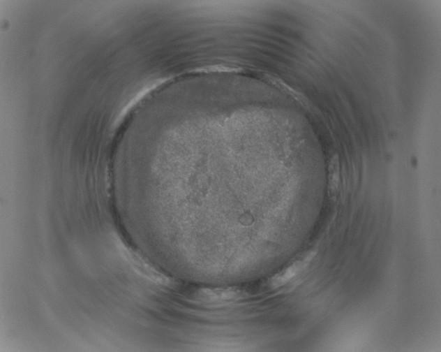 X0000061760351200512231557