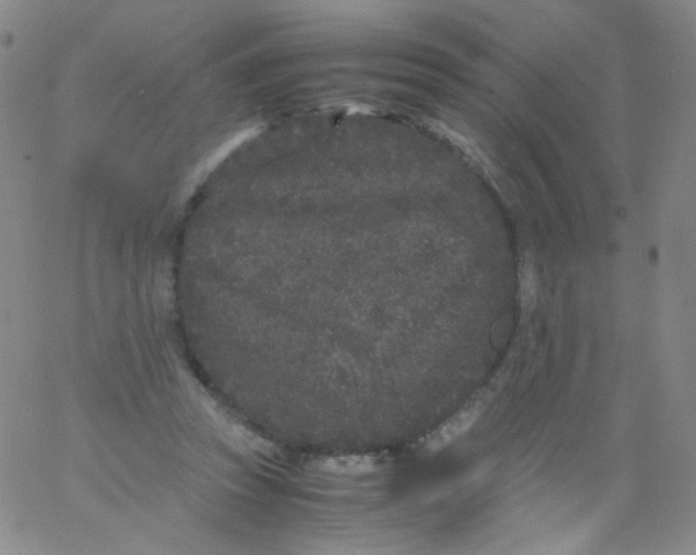 X0000061760353200512231557