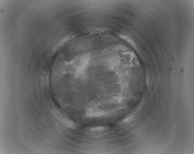 X0000061760357200512231557