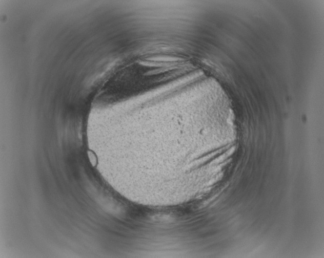 X0000061760358200512231557